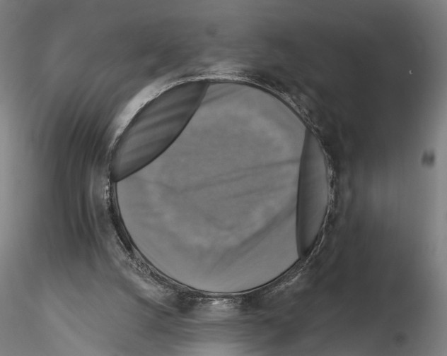 X0000114610056200912010947