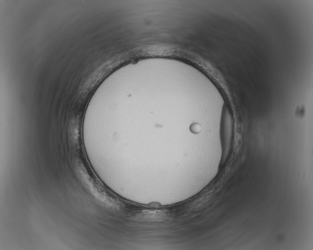 X0000114610057200912010947