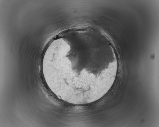 X0000114610059200912010947