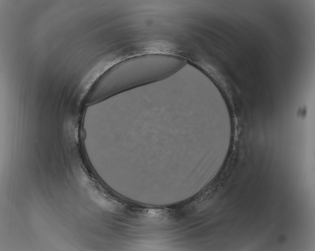 X0000114610060200912010947