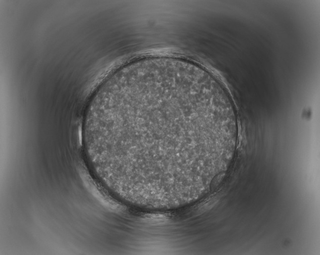 X0000114610061200912010947