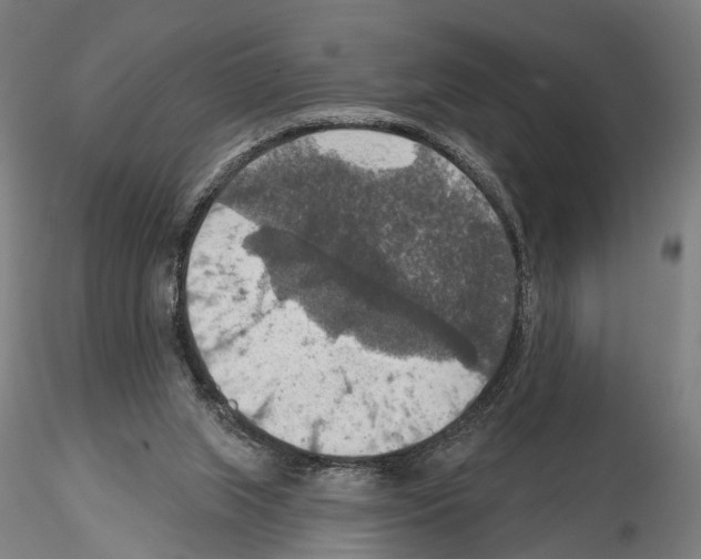 X0000114610063200912010947