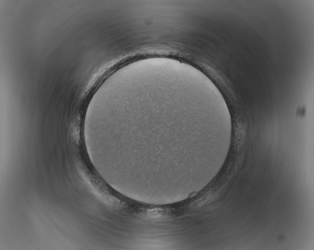 X0000114610064200912010947