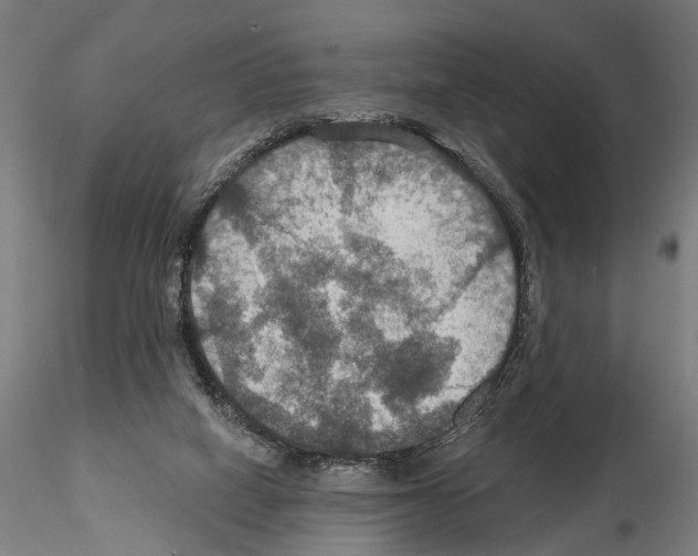 X0000114610066200912010947