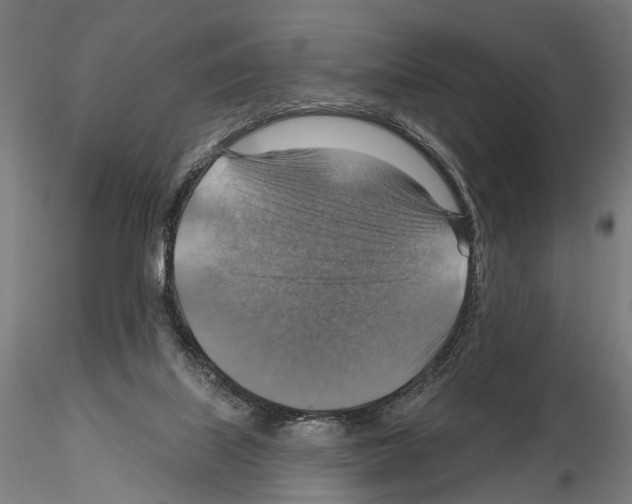 X0000114610067200912010947