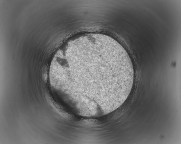 X0000114610069200912010947