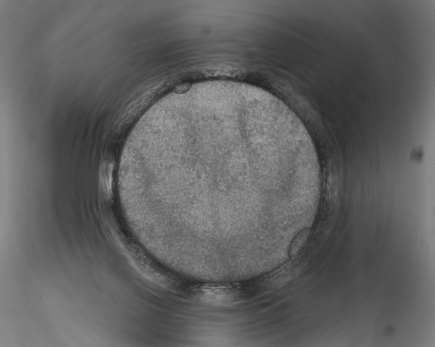 X0000114610070200912010947