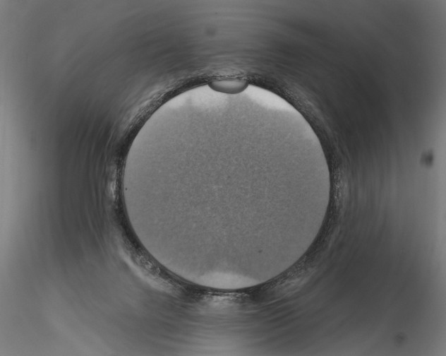 X0000114610072200912010947