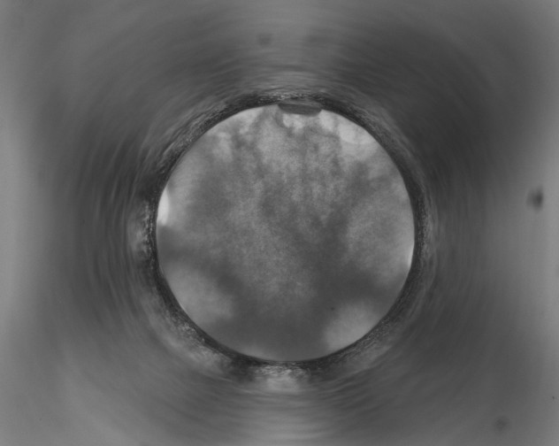 X0000114610073200912010947