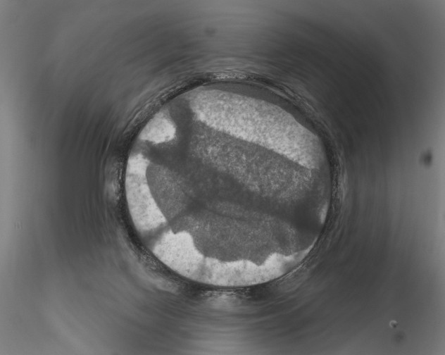 X0000114610074200912010947