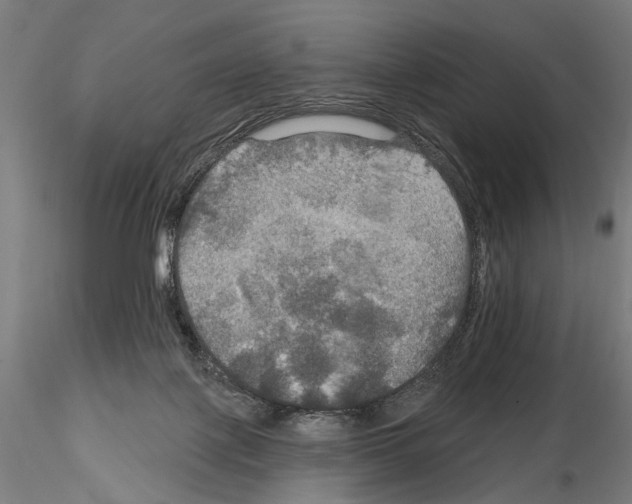 X0000114610075200912010947