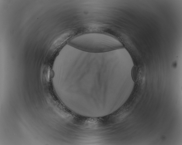 X0000114610076200912010947