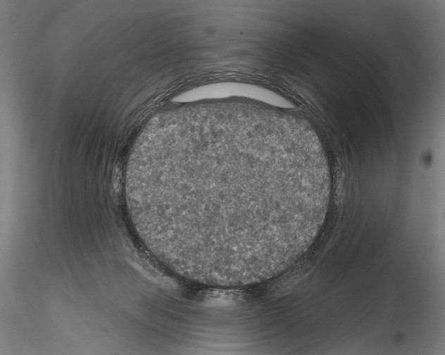 X0000114610077200912010947