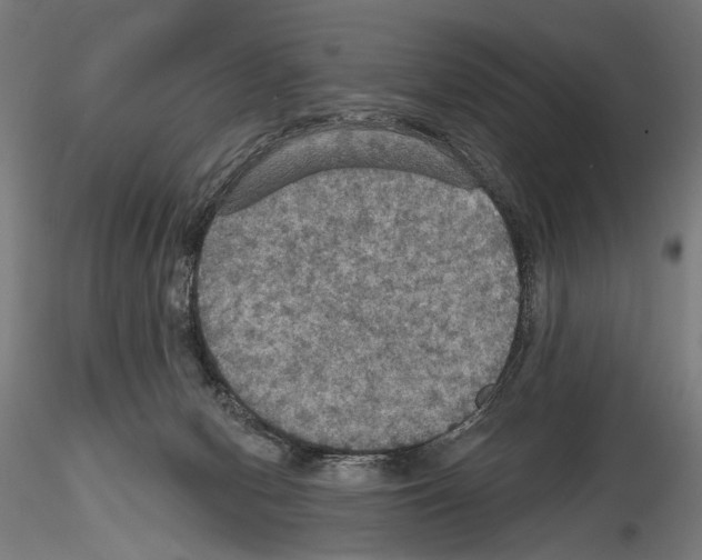 X0000114610078200912010947