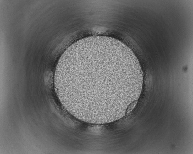 X0000114610079200912010947