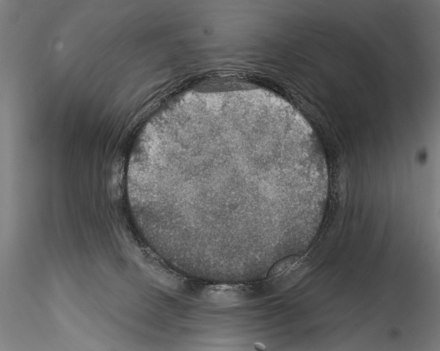 X0000114610082200912010947