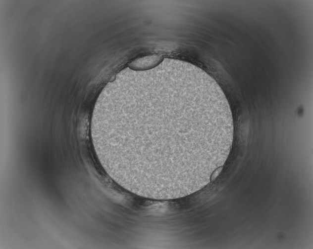 X0000114610083200912010947