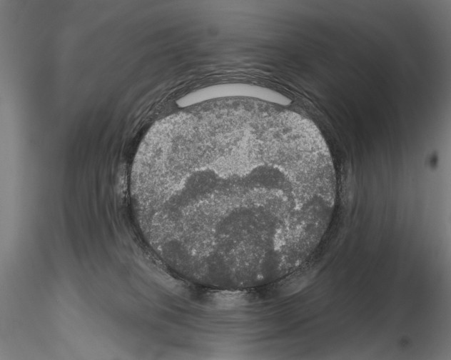 X0000114610085200912010947