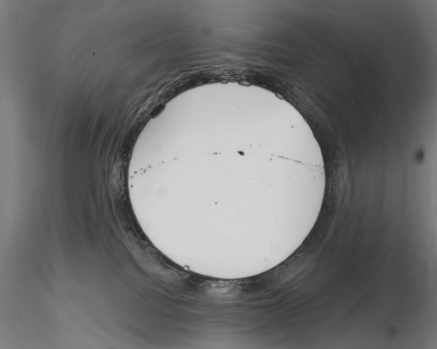 X0000114610088200912010947