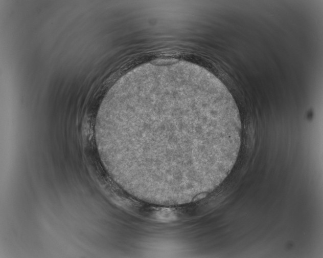 X0000114610091200912010947