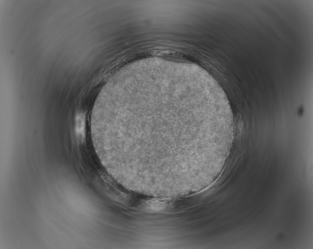 X0000114610094200912010947