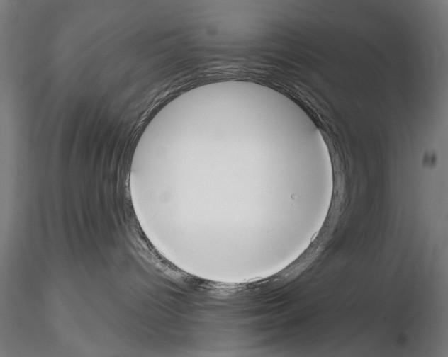 X0000114610096200912010947