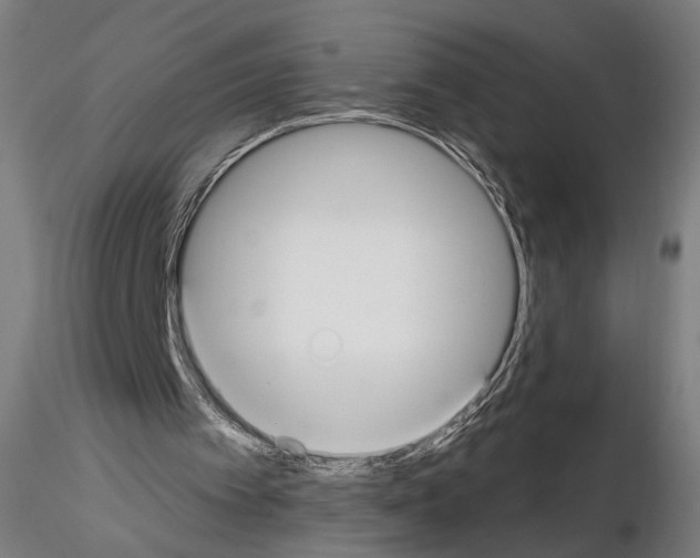 X0000114610097200912010947