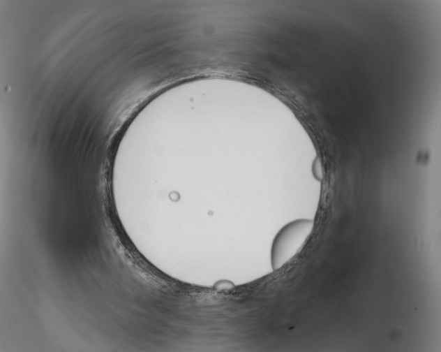 X0000114610098200912010947