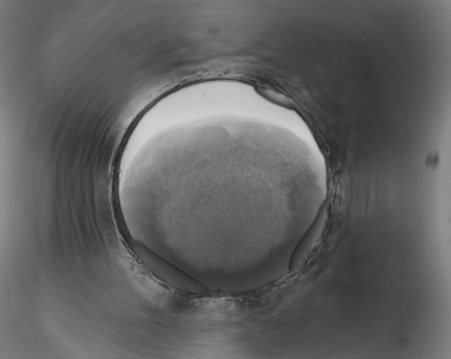 X0000114610100200912010947