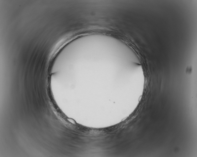 X0000114610101200912010947