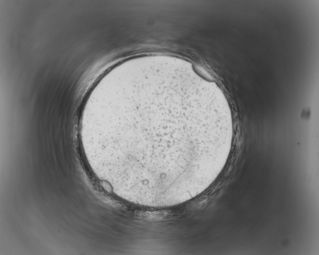 X0000114610103200912010947