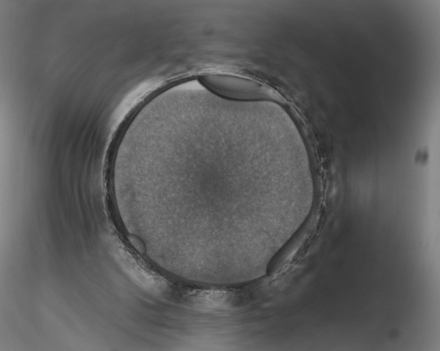 X0000114610104200912010947