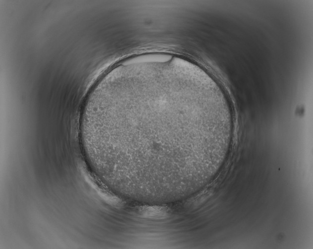 X0000114610107200912010947