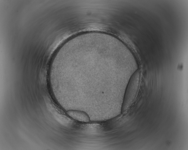 X0000114610108200912010947