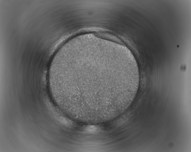 X0000114610111200912010947