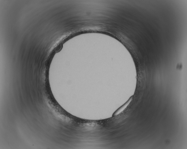 X0000114610112200912010947