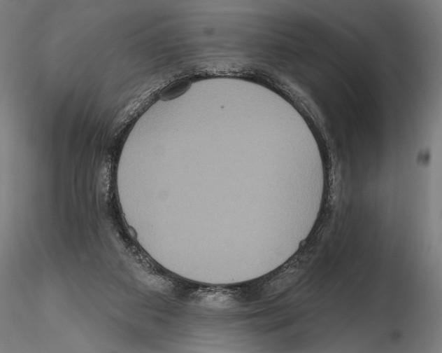 X0000114610113200912010947