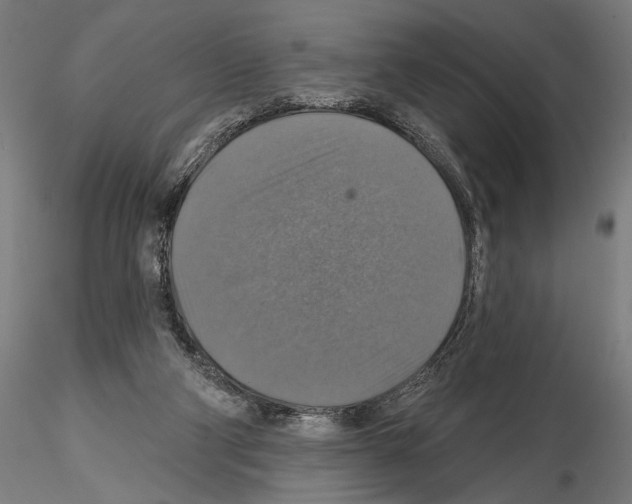 X0000114610114200912010947