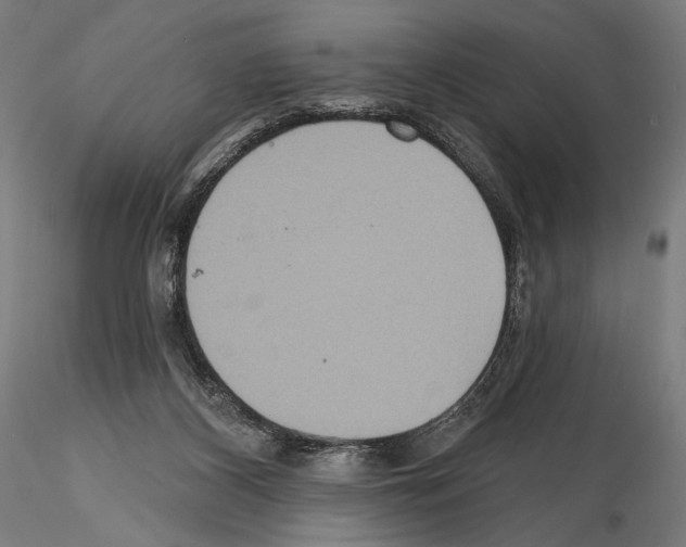 X0000114610116200912010947