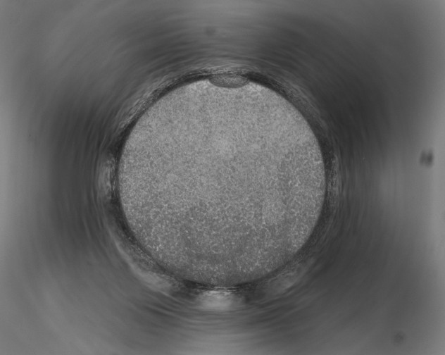 X0000114610119200912010947