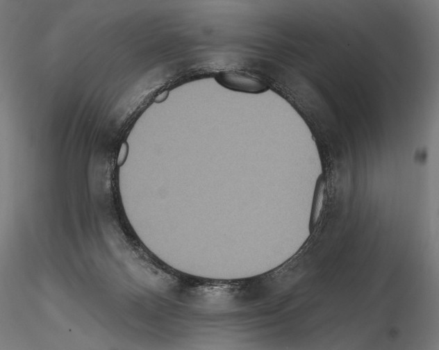 X0000114610120200912010947