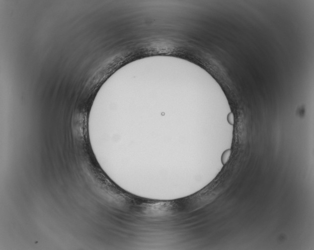 X0000114610122200912010946