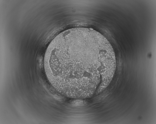 X0000114610123200912010946