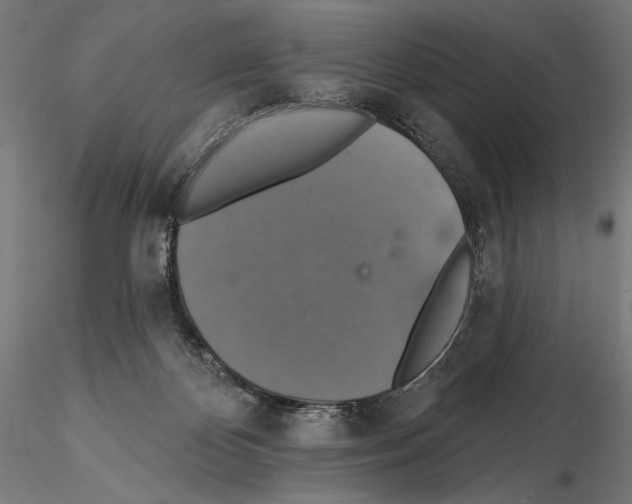 X0000114610124200912010946