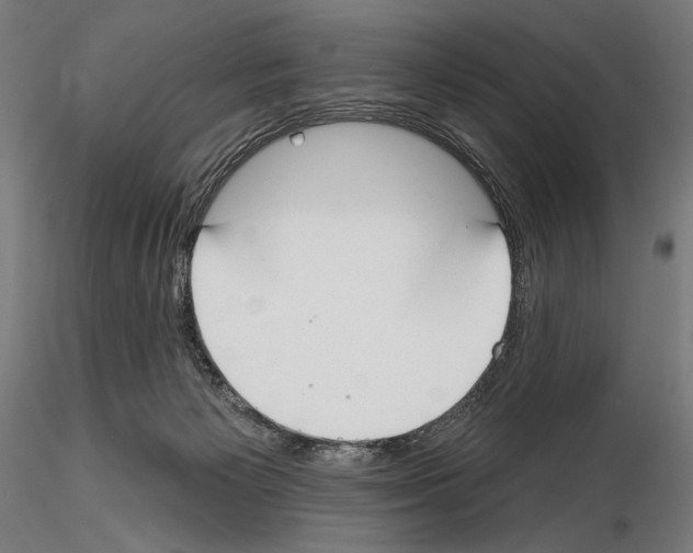 X0000114610125200912010946