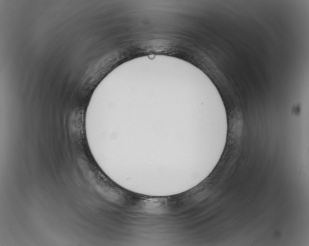 X0000114610126200912010946