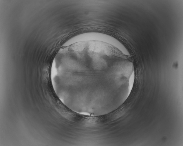 X0000114610127200912010946