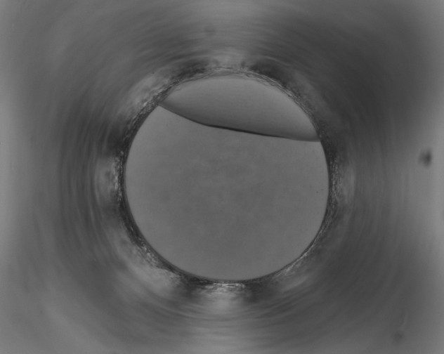 X0000114610128200912010946