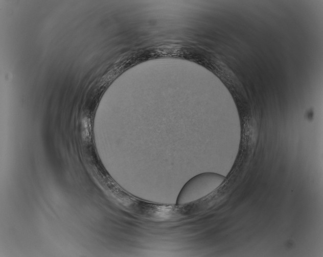 X0000114610130200912010946