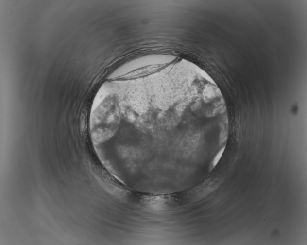 X0000114610131200912010946